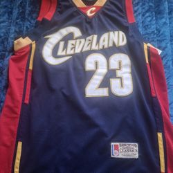 Mitchell & Ness LeBron James 2008-09 Cleveland Cavaliers Swingman Jersey Size L
