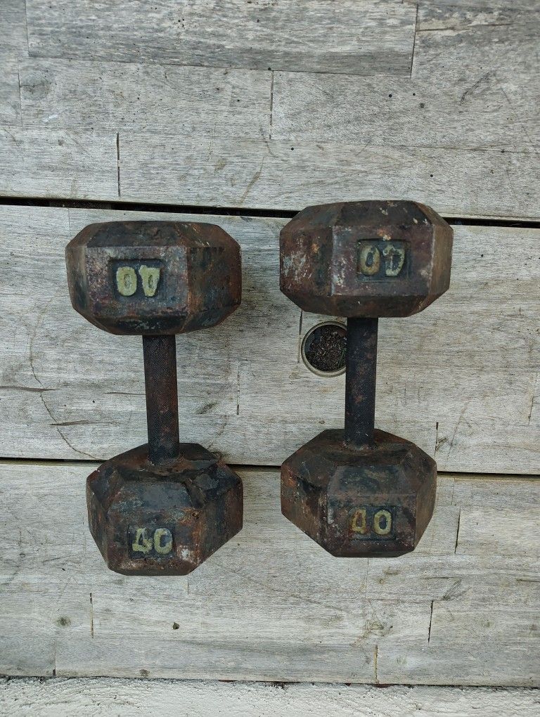 Cast Iron Dumbbells 