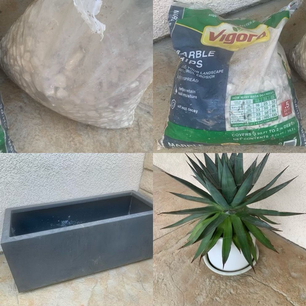 Blue Agave Plant, Planter Box, Landscape Rocks