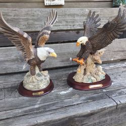 Two Beautiful Eagles 