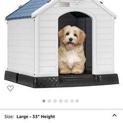 Dog House