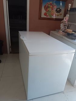 Large Ice Freezer