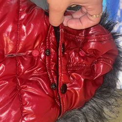 Pet Clothing (Dog Clothes)