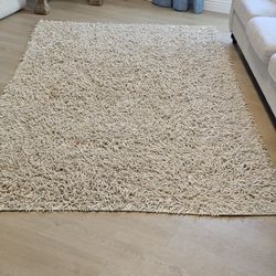 Shaggy Beige Area Rug 5x8 