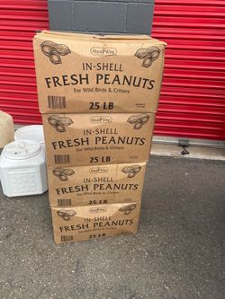 Peanuts for birds