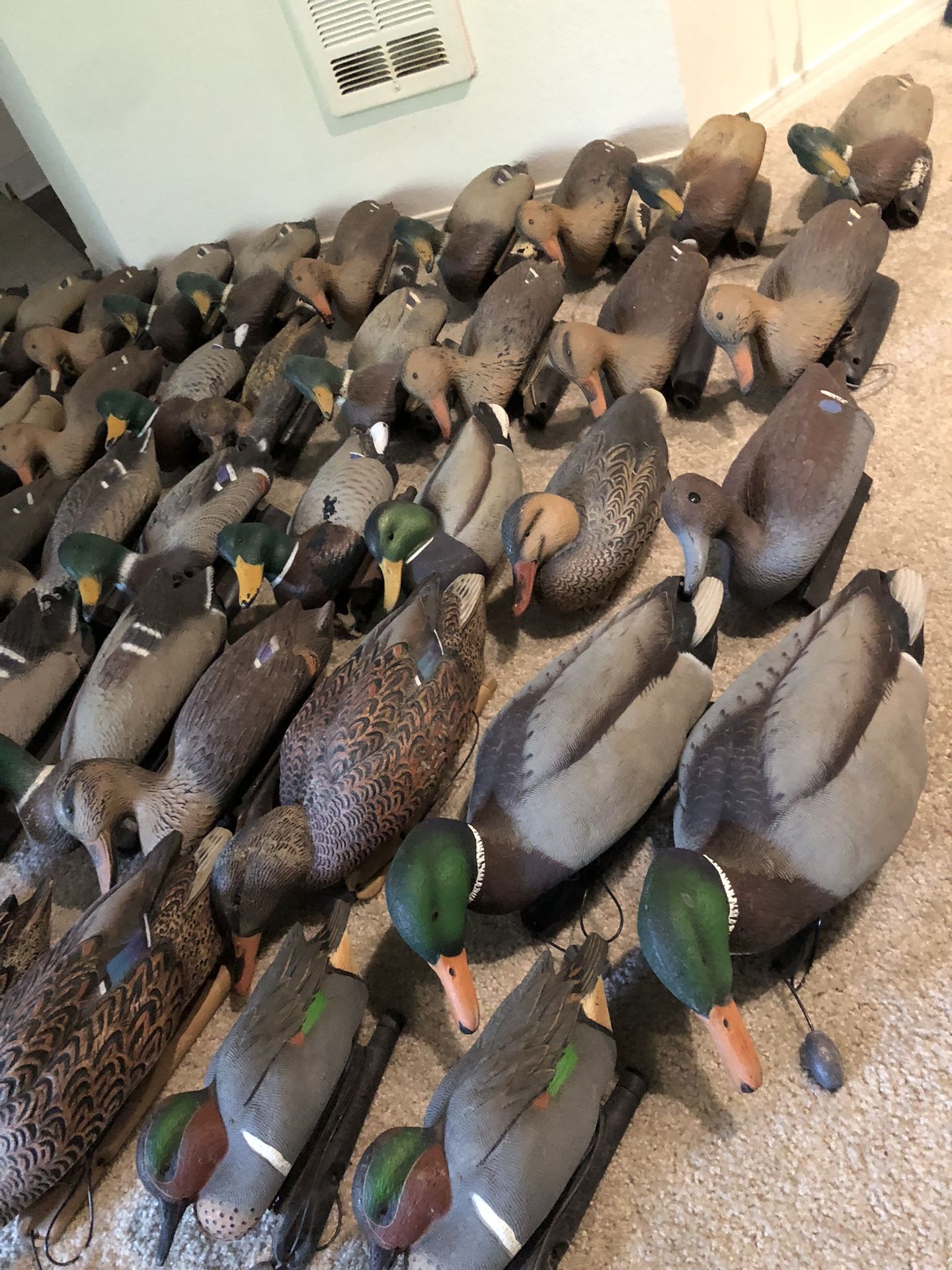 Duck Decoys, Weights, Line, Decoy Bags!!
