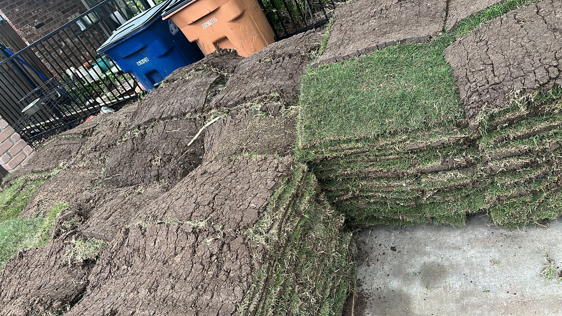 Bermuda Grass Pallets