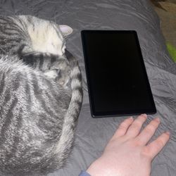 10.1 Inch Tablet 
