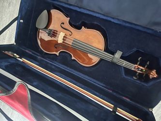 Viola
