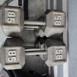 Weight Dumbbells 