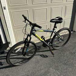 Adult Bike 26’