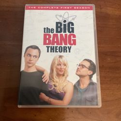 The Big Bang Theory 1st Season