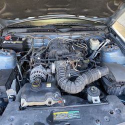 2006 Ford Mustang