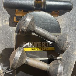 Vintage 20lb Dumbbell Weights Pair