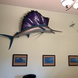 72  Inch Sail Fish Mount