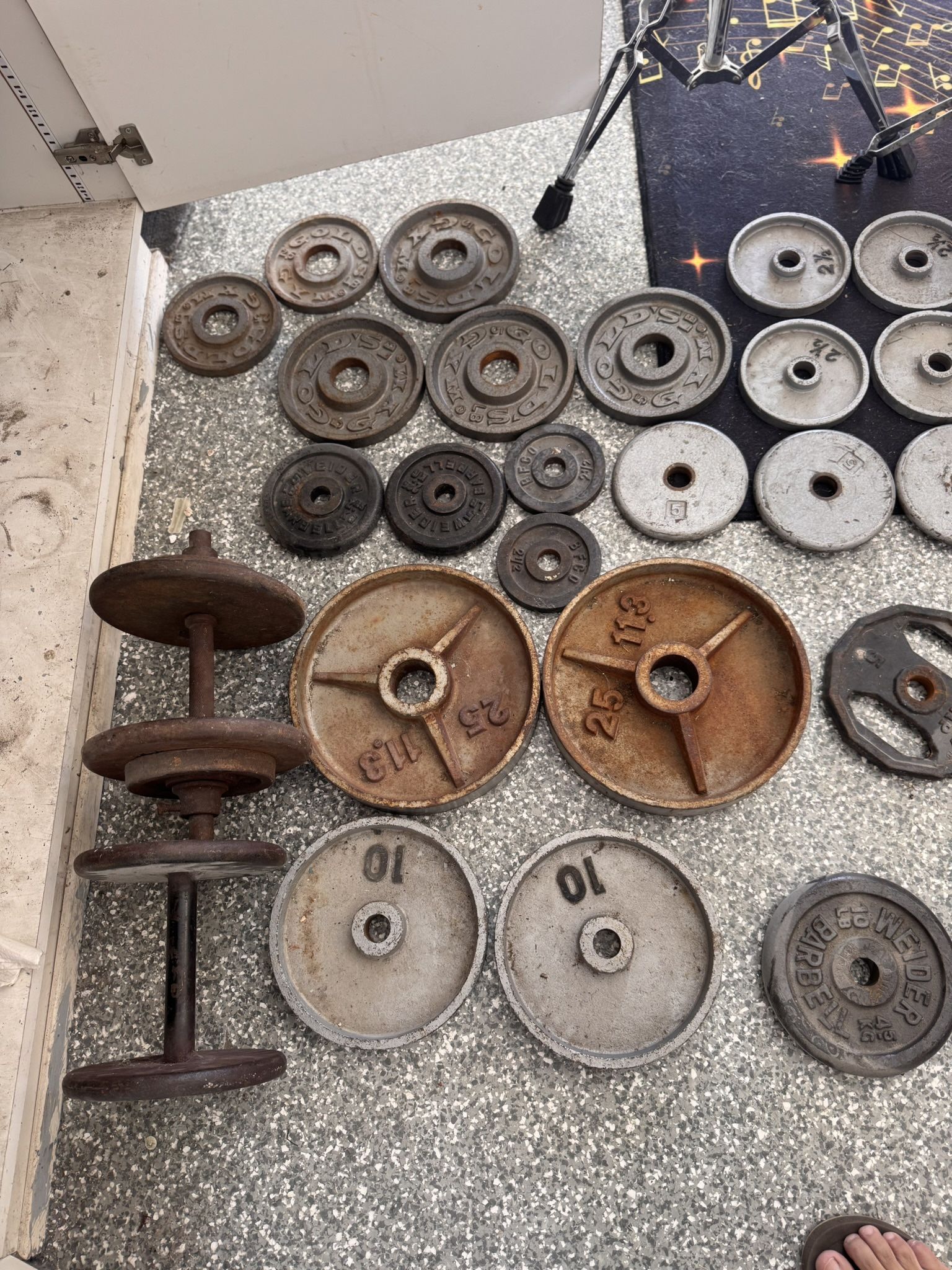 Gym Weights Dumbells And Curlbars 