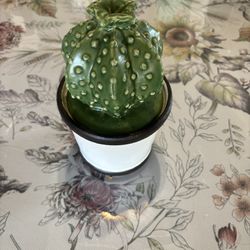 Succulent Jar