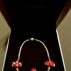 PANDORA Bracelet Silver 925 with 5 charms asking 140$ comes with box