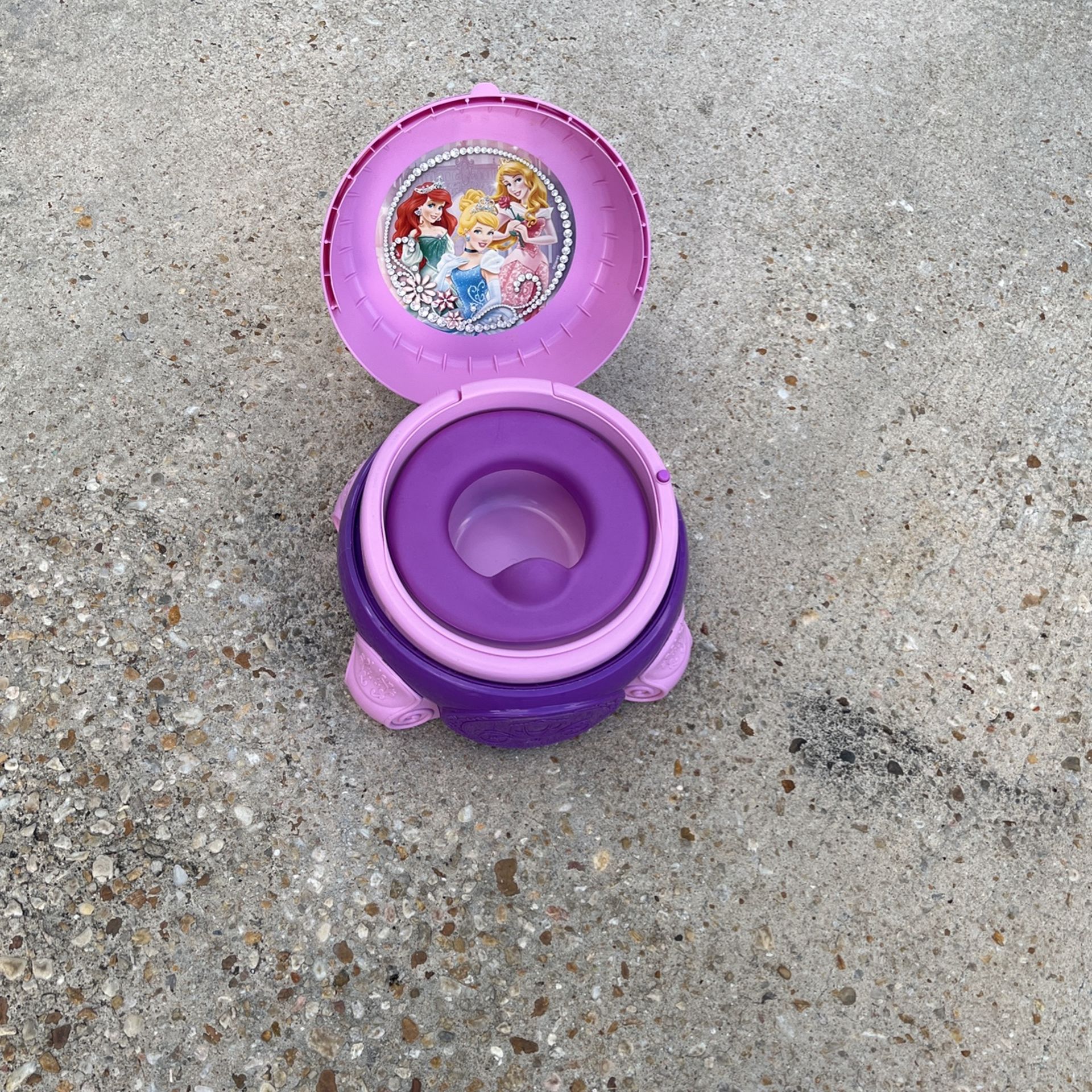 Potty Chair Disney