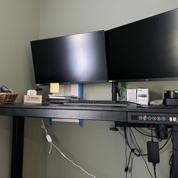 Flexispot Standing Desk with Two Large LG monitors