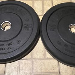 25lbs rubber weights