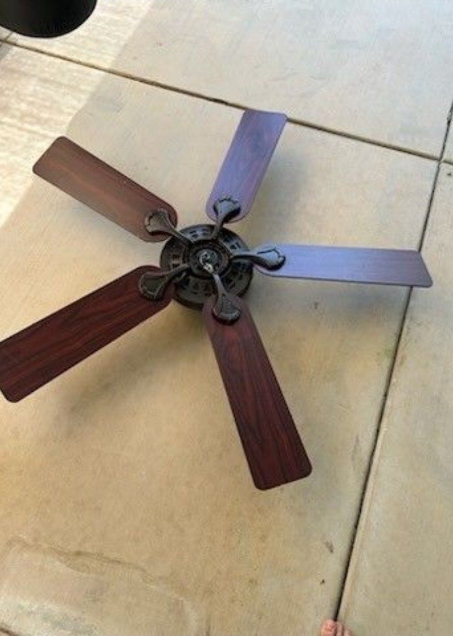 Ceiling Fan With Light
