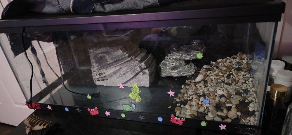 Fish Turtle Tank
