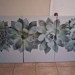 3 Piece Succulent Canvas