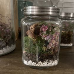 Beautiful Glass Terrarium or DIY Kit – Easy Care Gift Idea 🌿