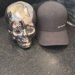 Ceramic Chrome Skull 
