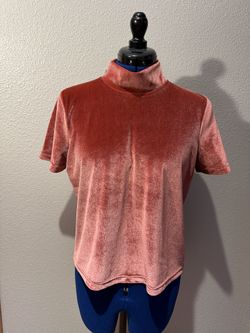 Madewell Velvet Mock Neck Short Sleeve Top