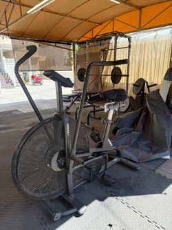 Rogue Assault Bike