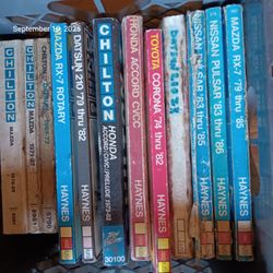 Chilton Manuals