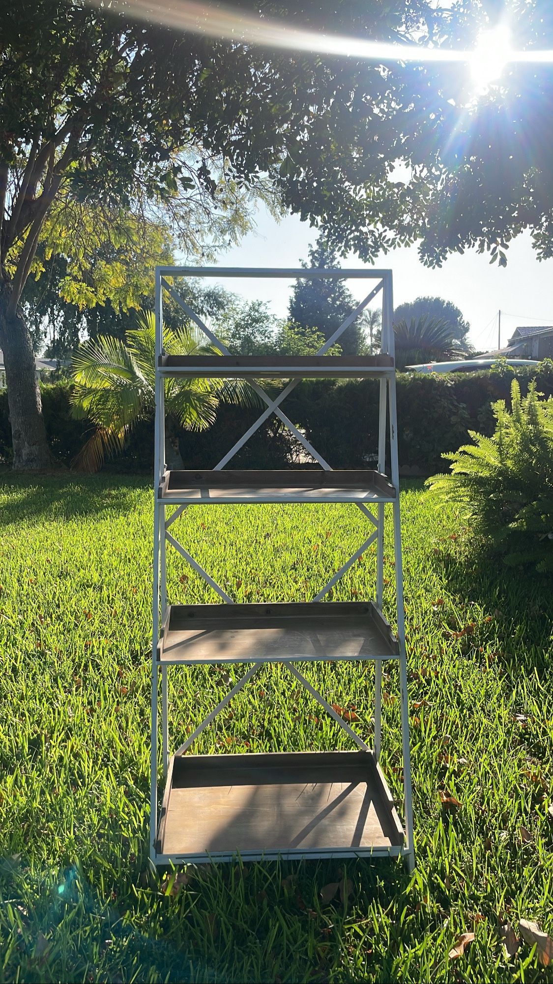 Ladder Shelf