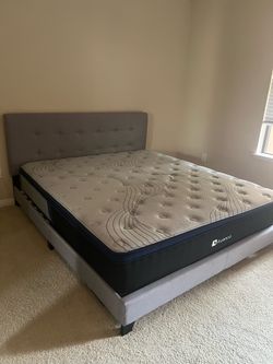California King Mattress & Padded Bed Frame