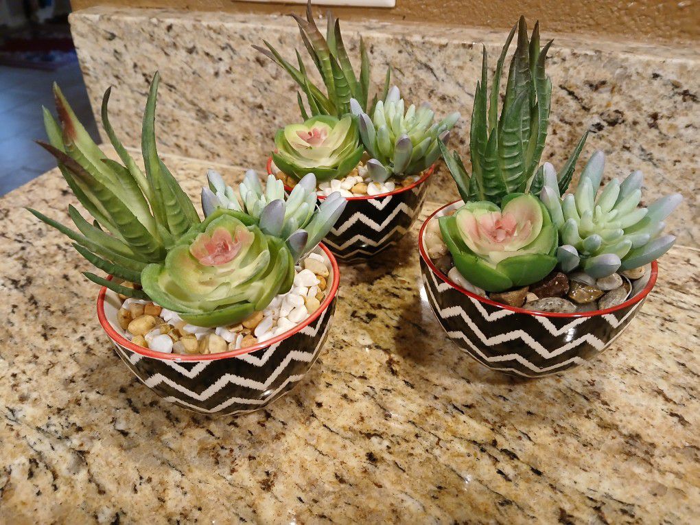 3 New 4” Artificial Faux Succulent Plant in Chic Chevron Dish All For $20

