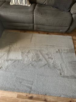 Light gray floor rug