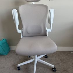 Ergonomic Office Chair 