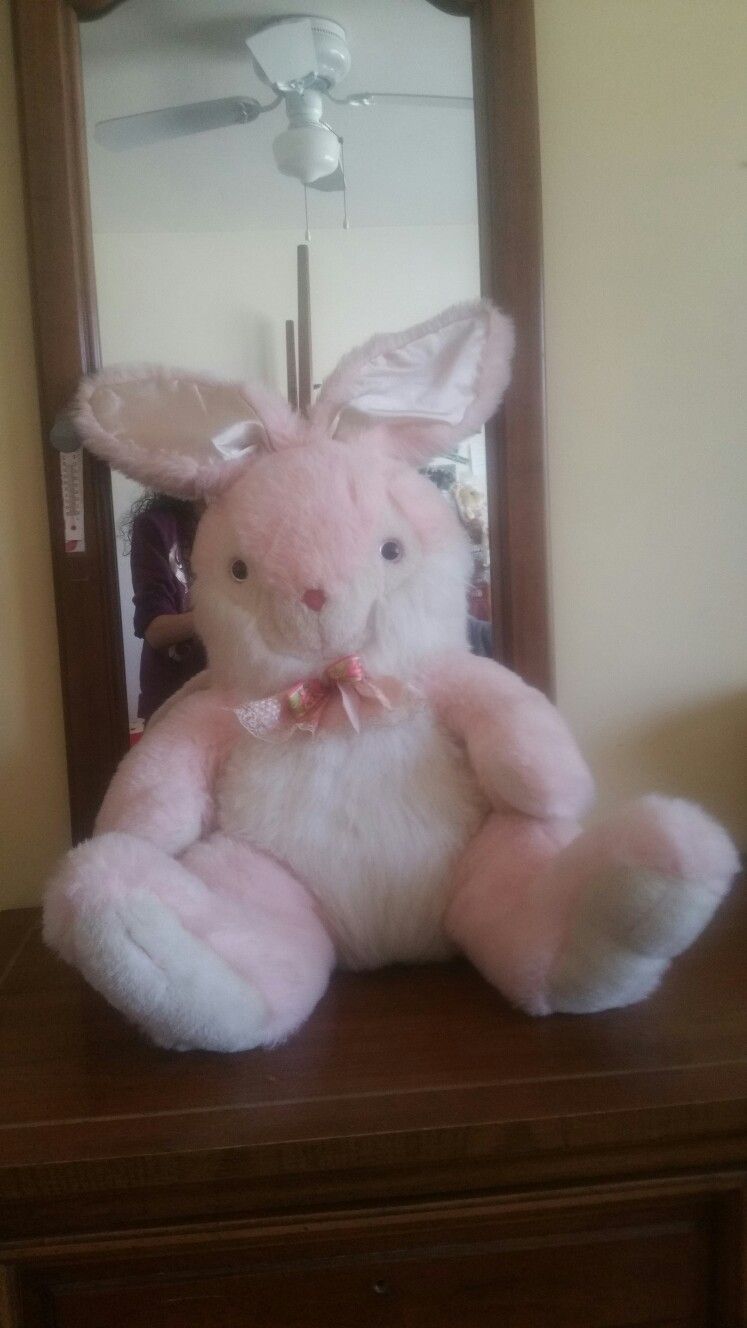 Bunny Rabbit (Stuffed Animal)