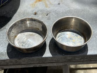 Small Saucer (feed Cats)