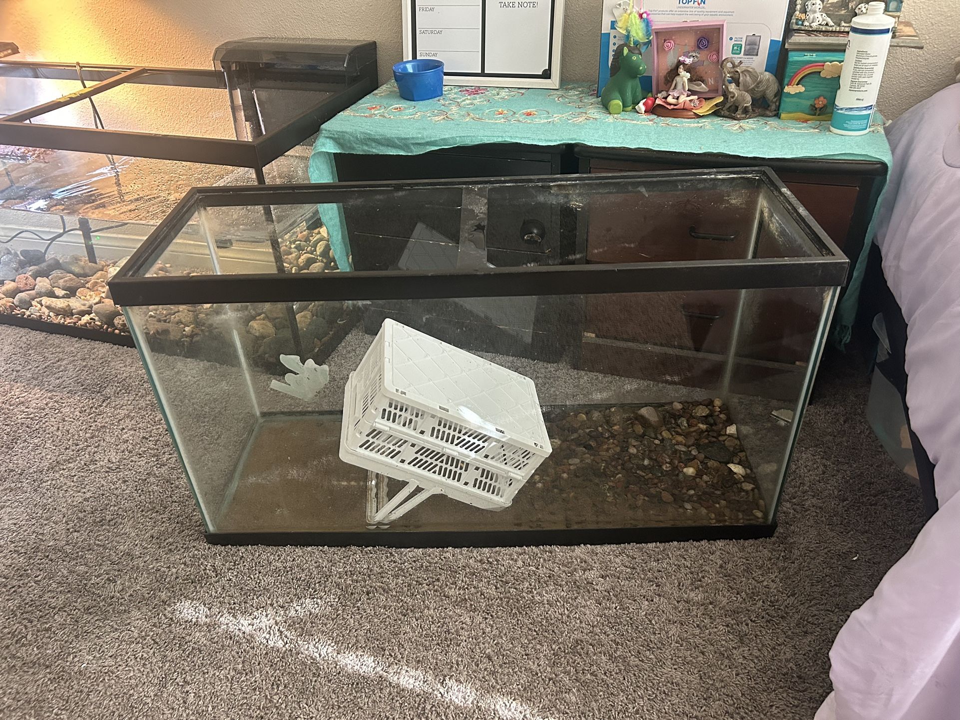 40 gallon tank for fish or baby * turtle