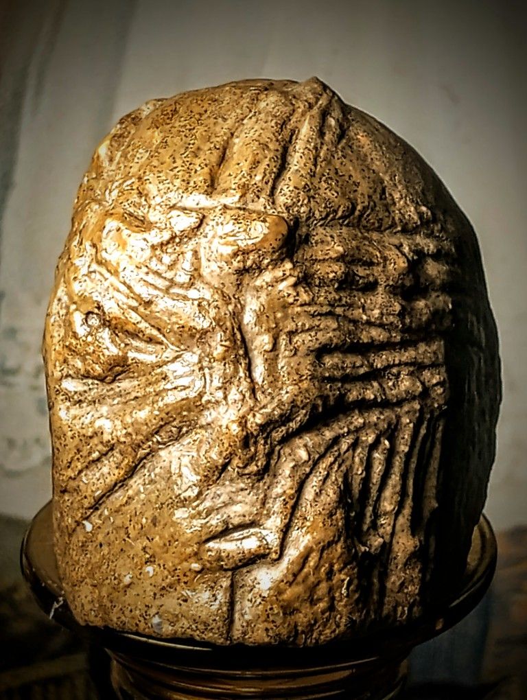 Carved Fossil