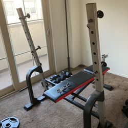 Dumbbells , Plates , Bar , And Bench 