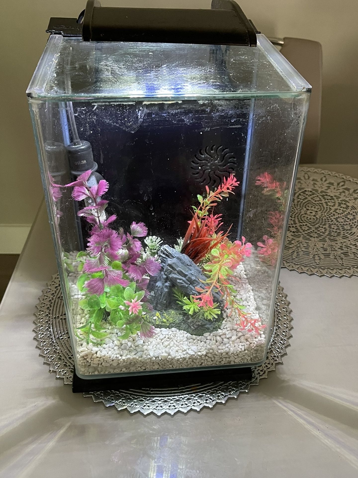 5 Gallon Marineland