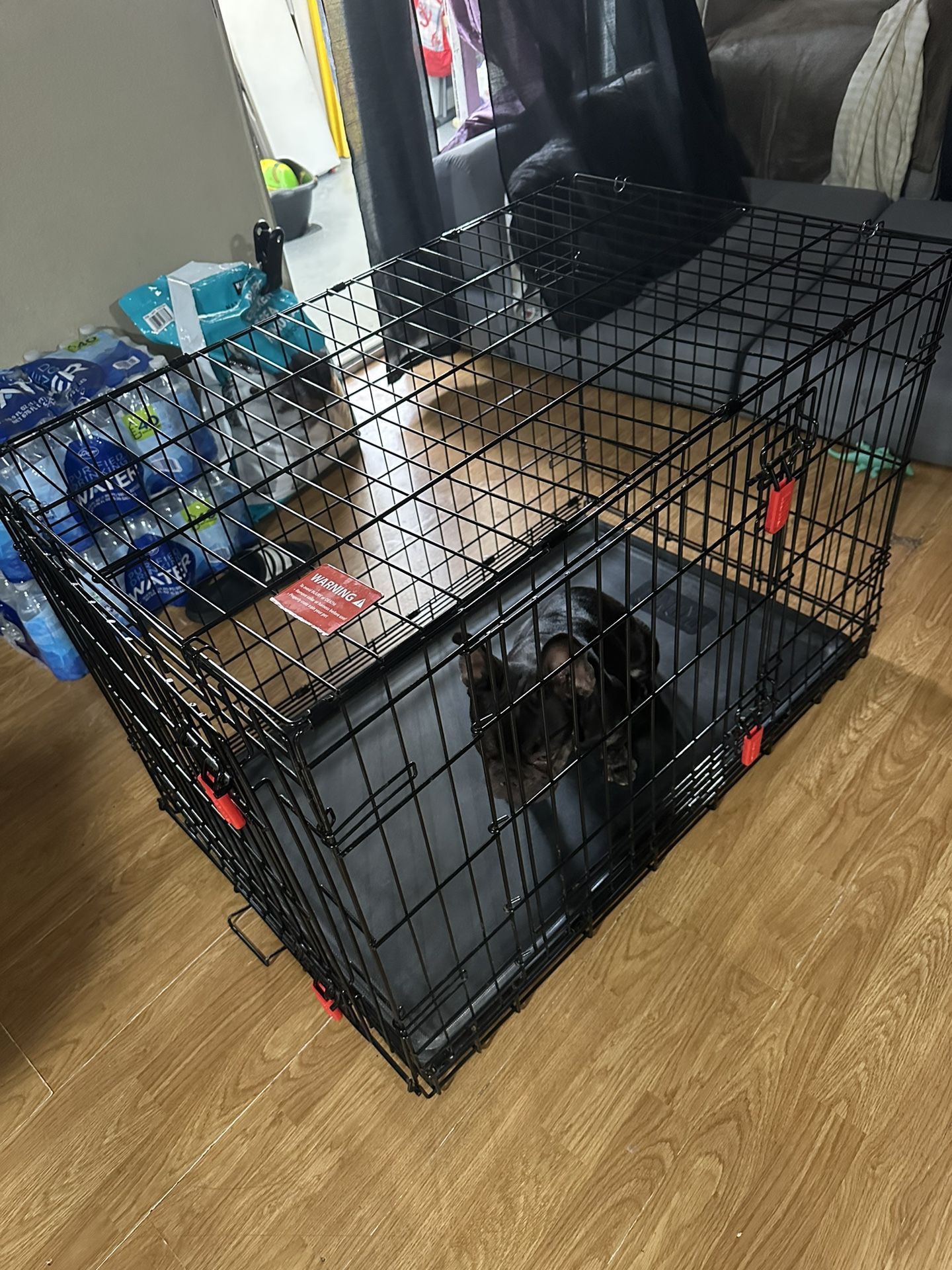 Medium Size Pet Cage With Double Door Brand Is Kong