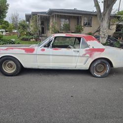 1965 Mustang A CODE /65 MUSTANG C CODE PONY