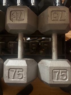 75lb dumbbells