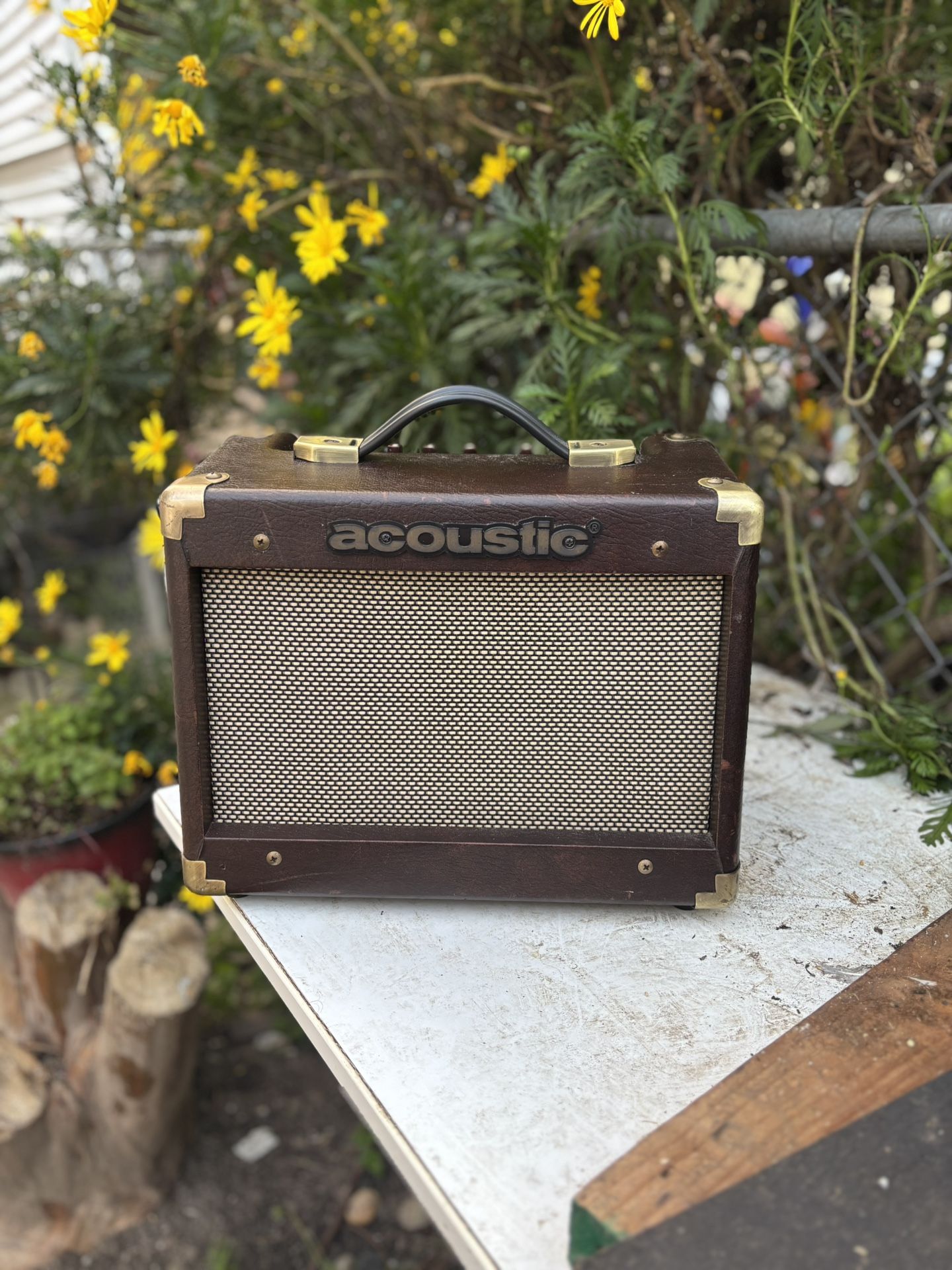 Acoustic Guitar Amp