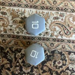 10 Lb Dumbbells