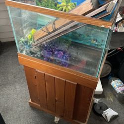 2 Piece Fish Tank 
